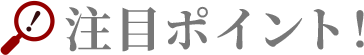 注目ポイント